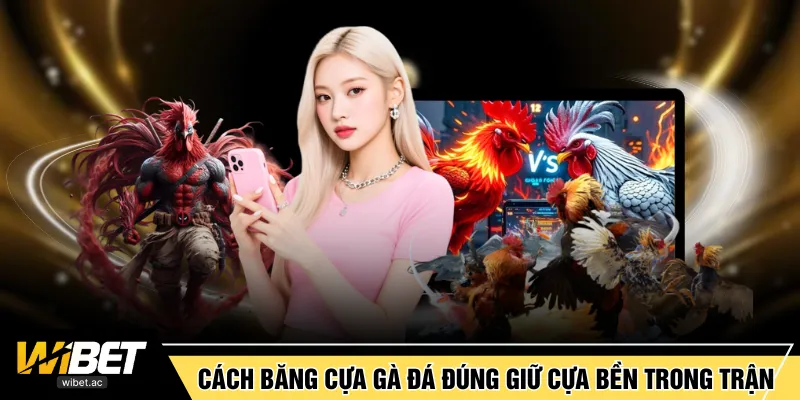 Cách băng cựa gà đá đúng sẽ giữ cựa bền trong trận