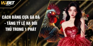 Cách Băng Cựa Gà Đá - Tăng Tỷ Lệ Hạ Đối Thủ Trong 1 Phát