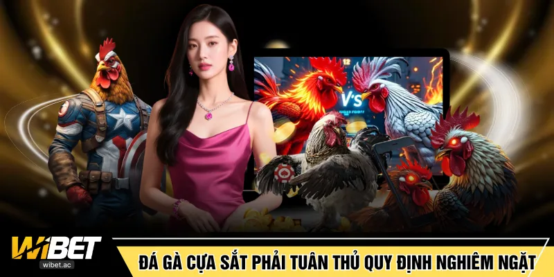 Đá gà cựa sắt phải tuân thủ quy định nghiêm ngặt