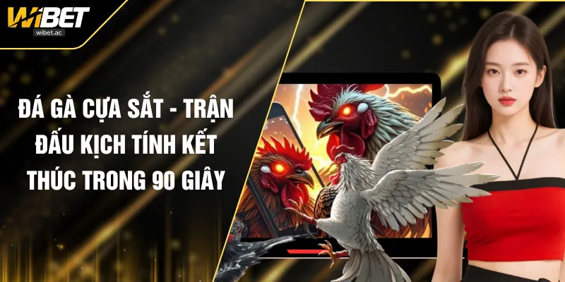 Đá Gà Cựa Sắt - Trận Đấu Kịch Tính Kết Thúc Trong 90 Giây