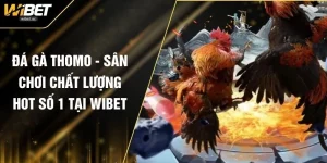 Đá Gà Thomo - Sân Chơi Chất Lượng Hot Số 1 Tại WIBET
