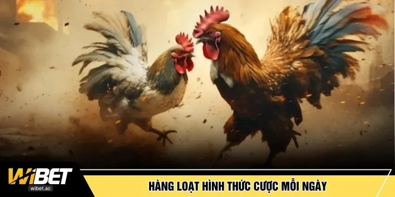 Hàng loạt hình thức cược mỗi ngày