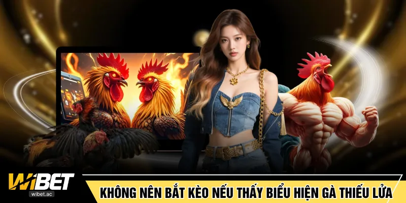 Không nên bắt kèo nếu thấy biểu hiện gà thiếu lửa