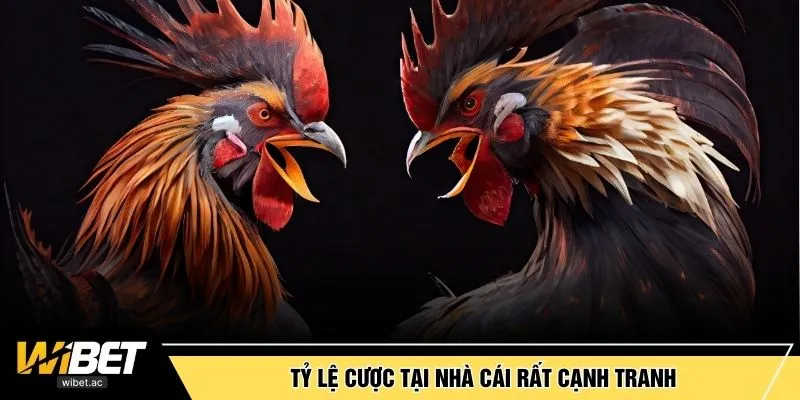 Tỷ lệ cược tại nhà cái rất cạnh tranh